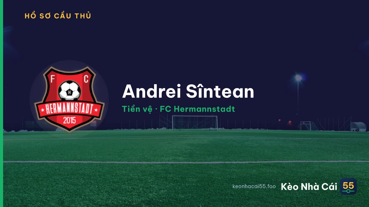 Andrei Sîntean — FC Hermannstadt