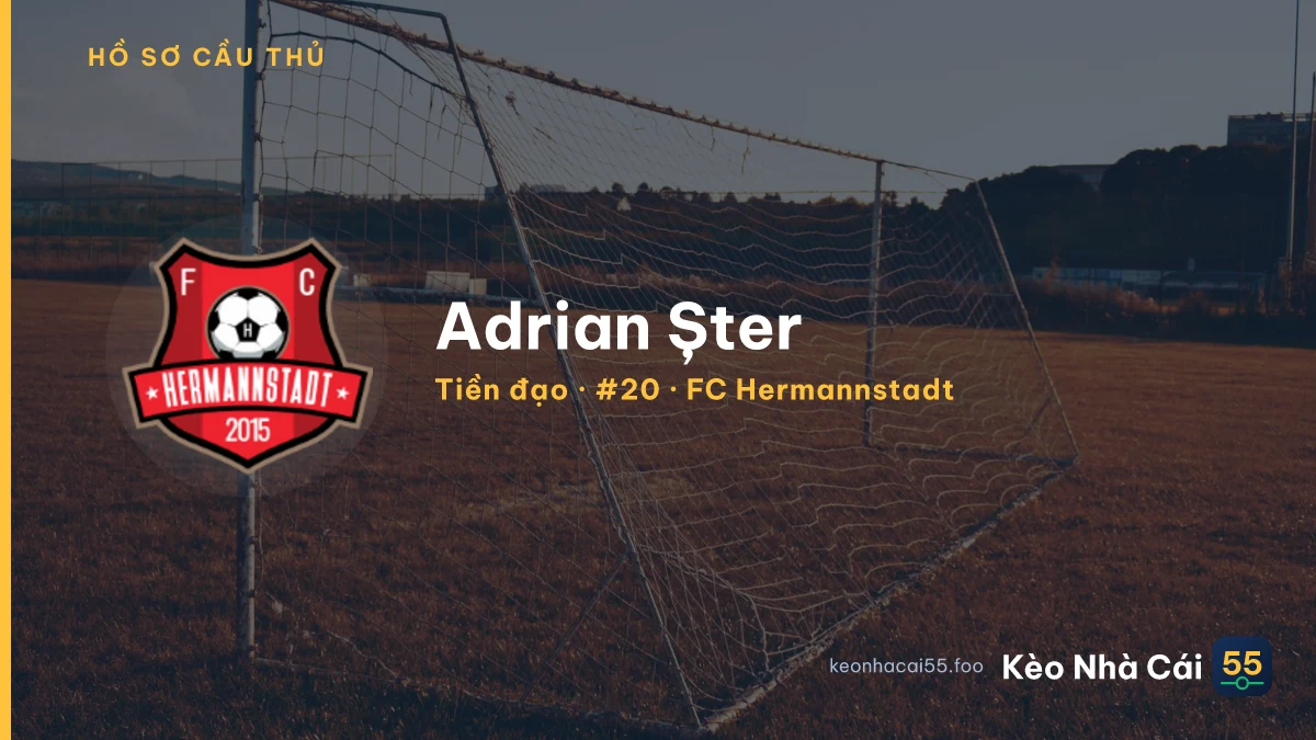 Adrian Șter — FC Hermannstadt