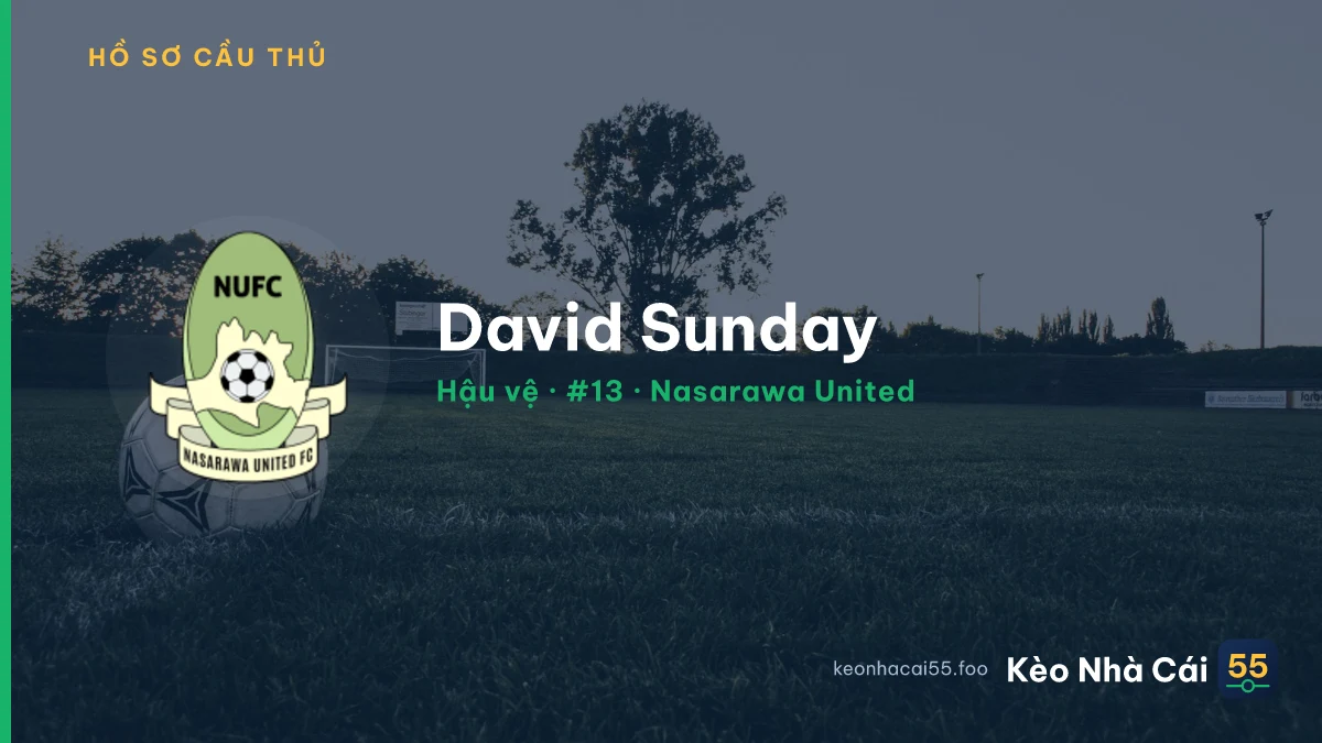 David Sunday — Nasarawa United
