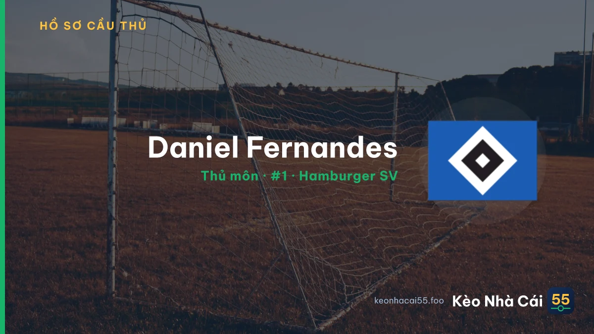 Daniel Fernandes — Hamburger SV