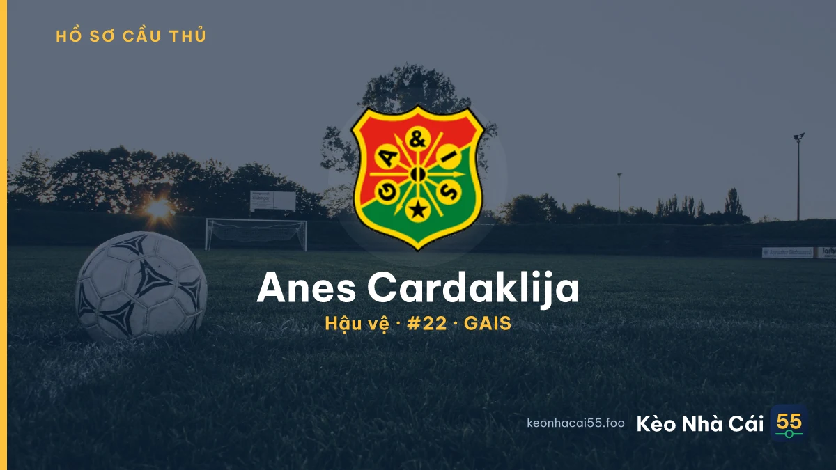 Anes Cardaklija — GAIS
