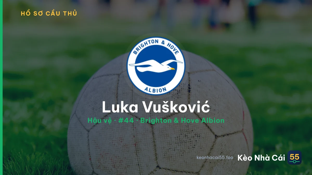 Luka Vušković — Brighton & Hove Albion