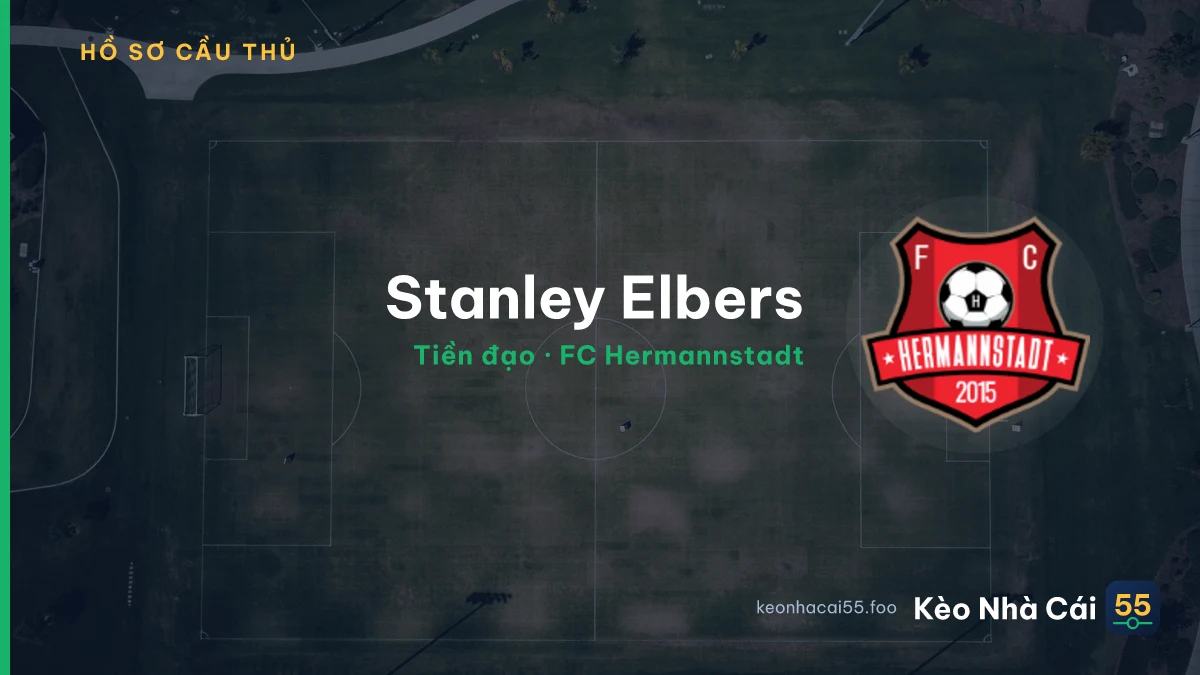 Stanley Elbers — FC Hermannstadt