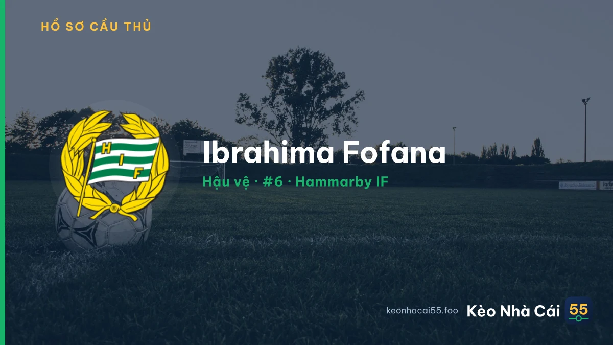 Ibrahima Fofana — Hammarby IF