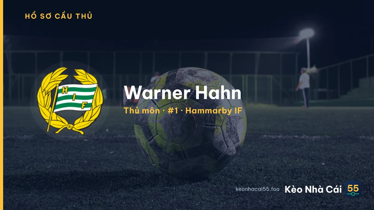 Warner Hahn — Hammarby IF