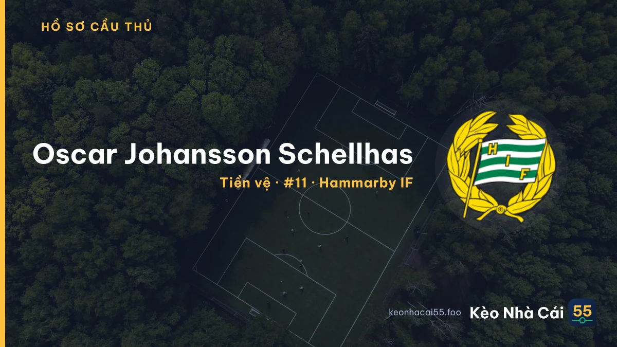 Oscar Johansson Schellhas — Hammarby IF