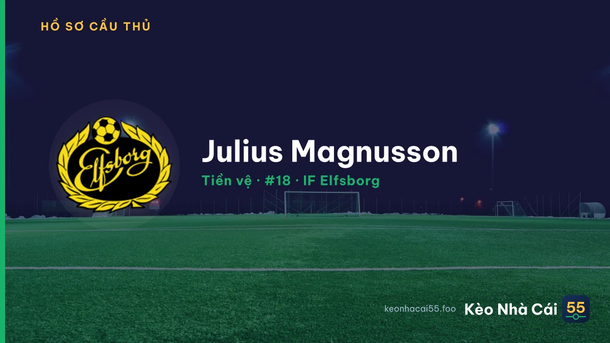 Julius Magnusson — IF Elfsborg