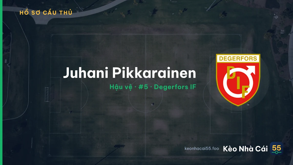 Juhani Pikkarainen — Degerfors IF