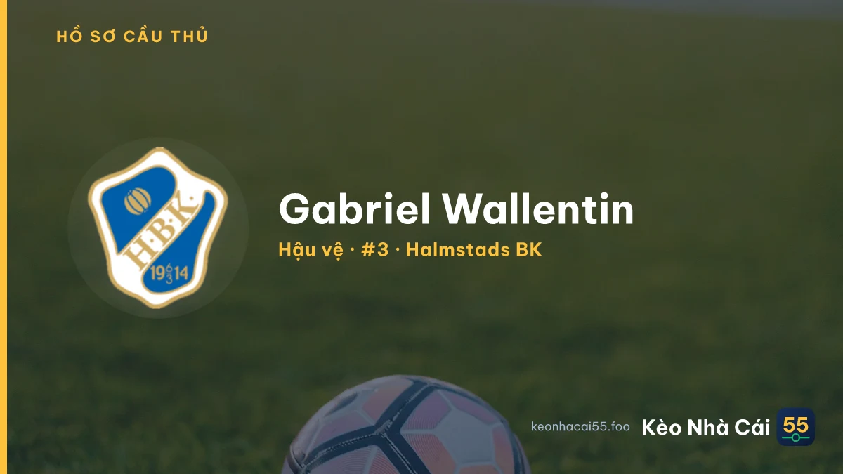 Gabriel Wallentin — Halmstads BK