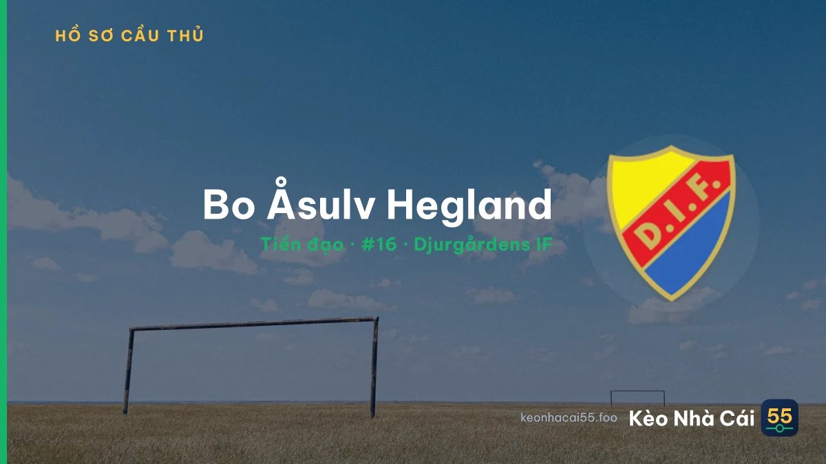 Bo Åsulv Hegland — Djurgårdens IF