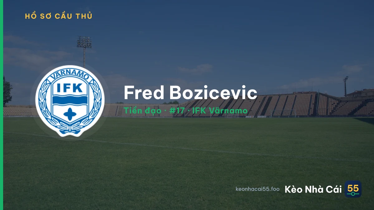 Fred Bozicevic — IFK Värnamo