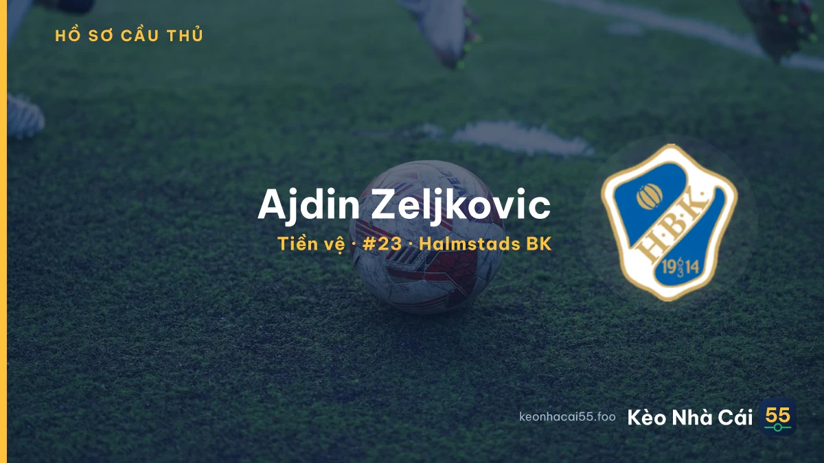 Ajdin Zeljkovic — Halmstads BK