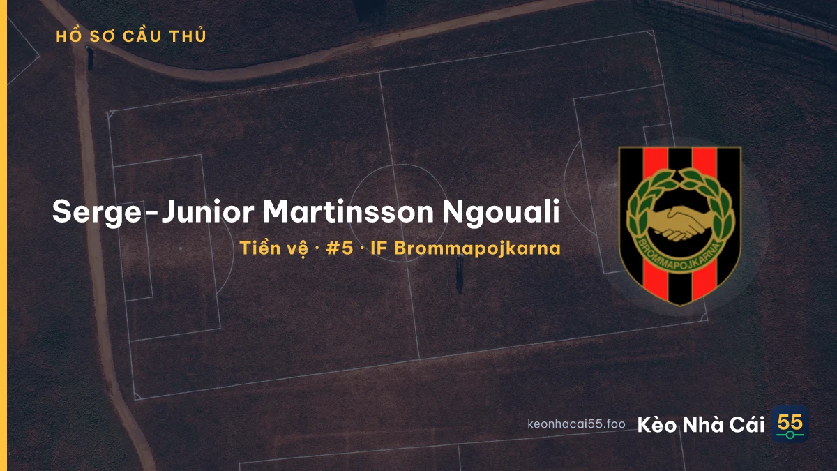Serge-Junior Martinsson Ngouali — IF Brommapojkarna