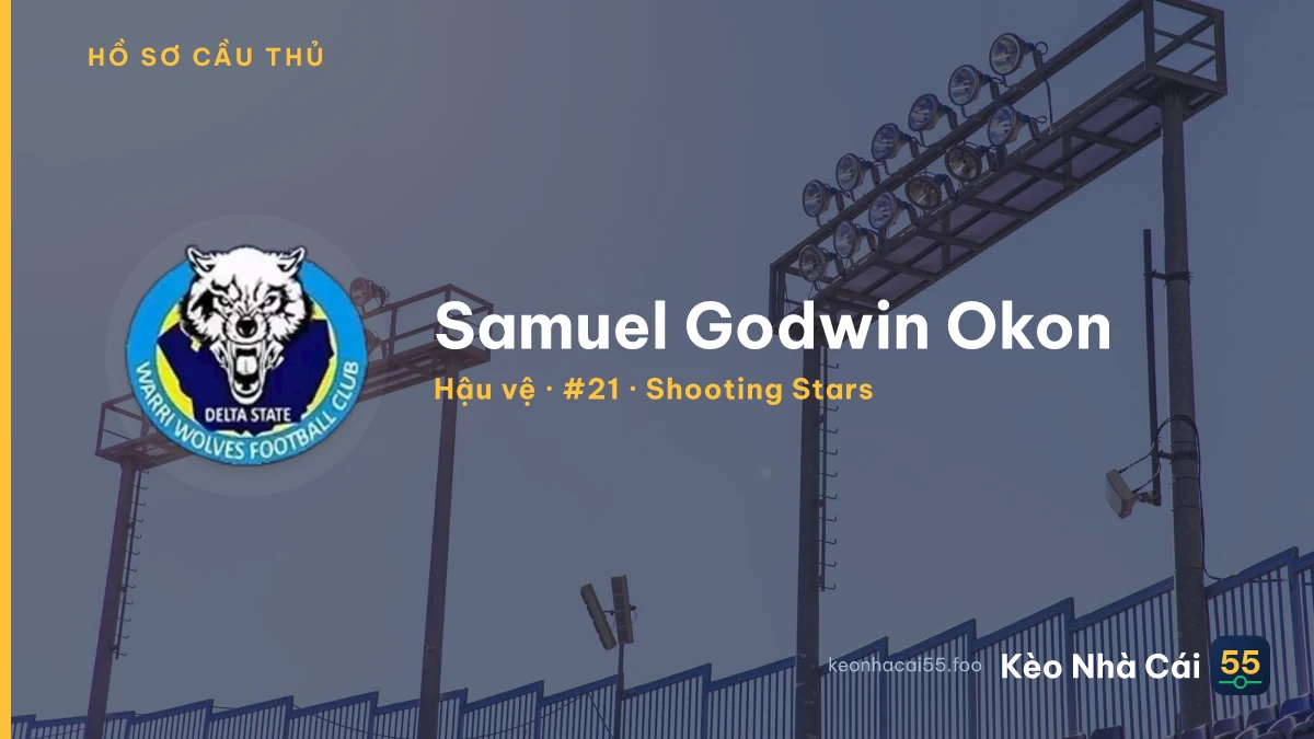 Samuel Godwin Okon — Shooting Stars