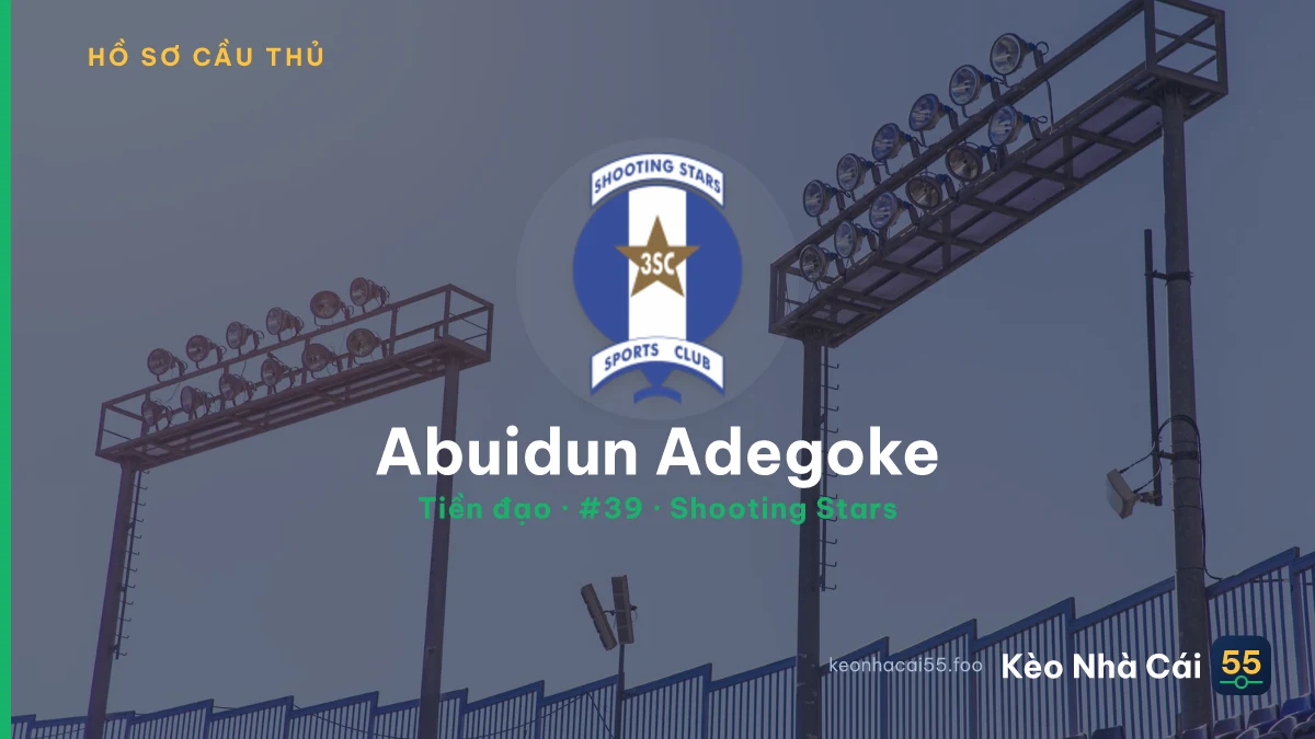 Abuidun Adegoke — Shooting Stars