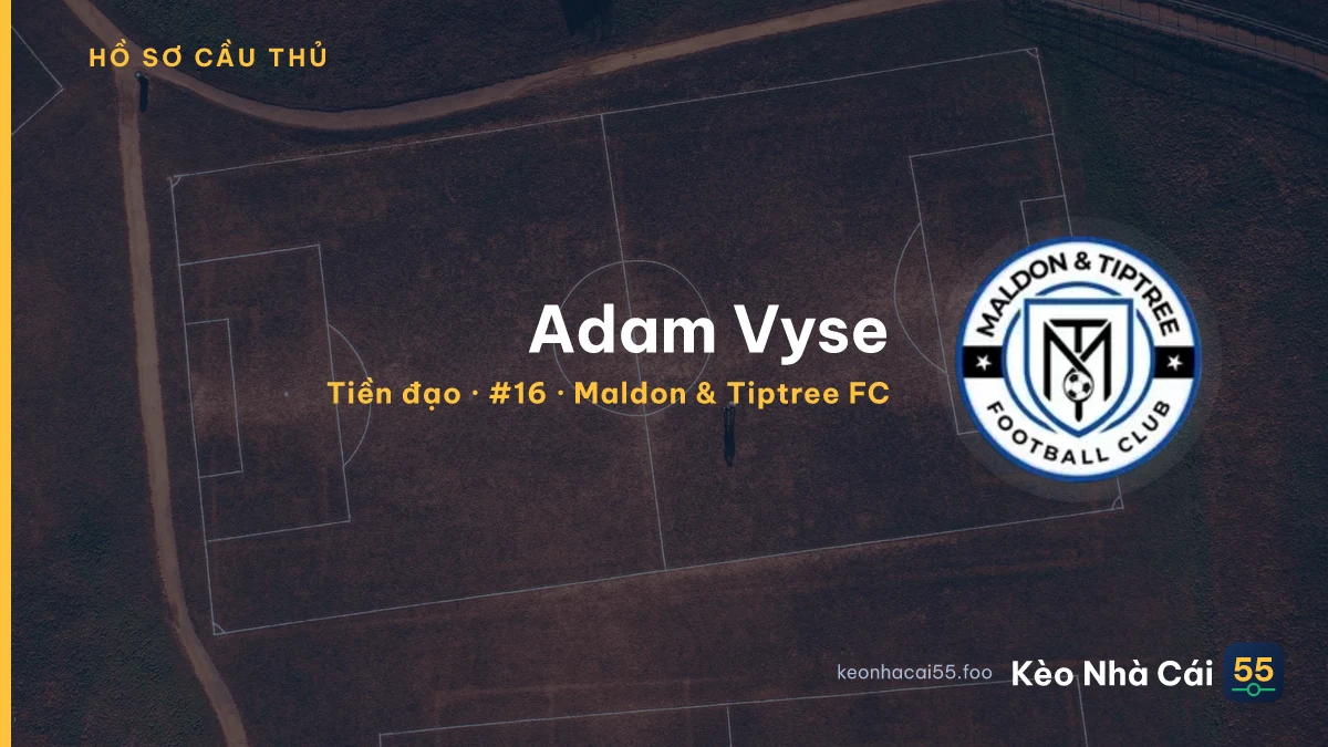 Adam Vyse — Maldon & Tiptree FC