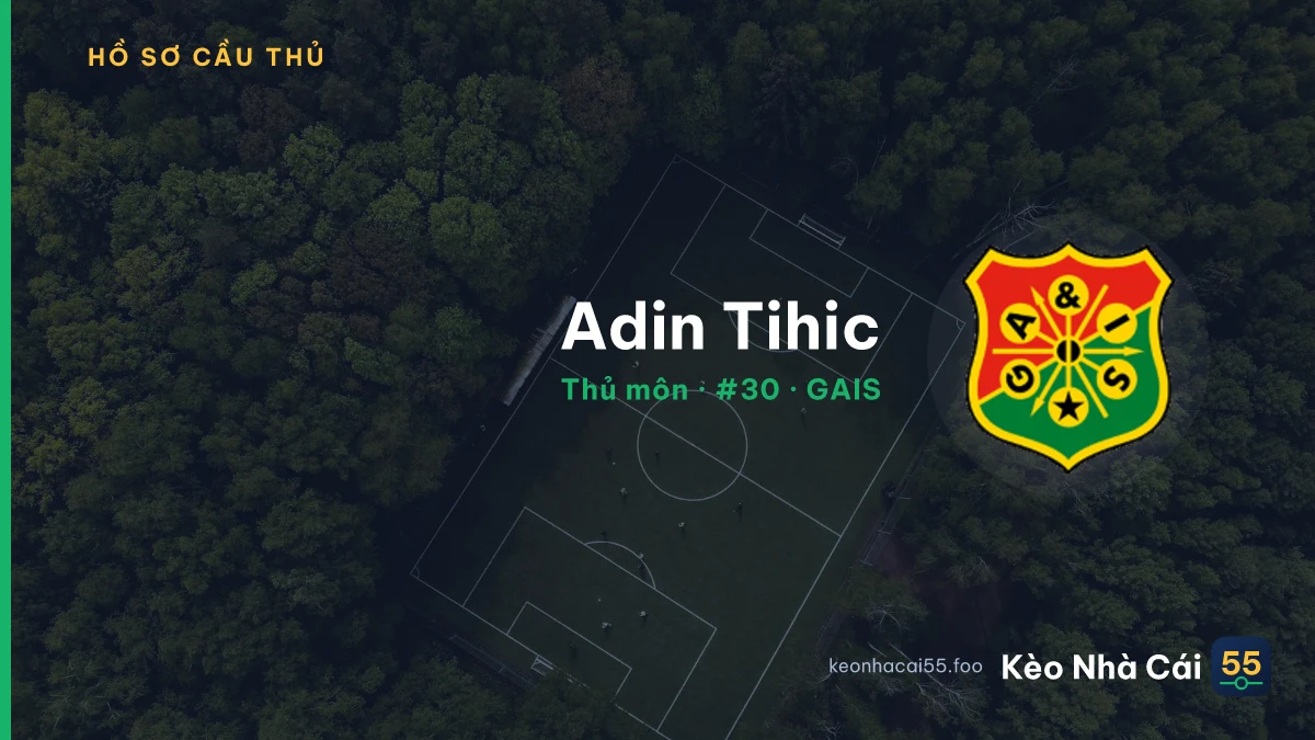 Adin Tihic — GAIS