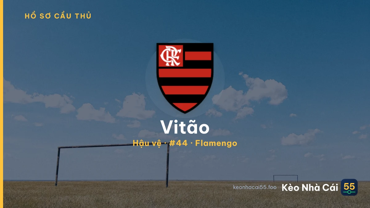 Vitão — Flamengo