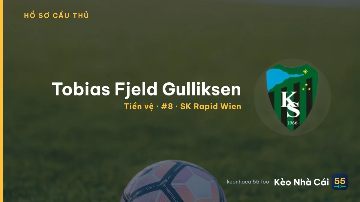 Tobias Fjeld Gulliksen — SK Rapid Wien