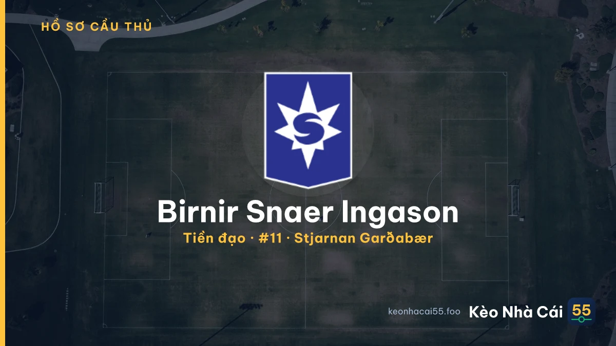 Birnir Snaer Ingason — Stjarnan Garðabær