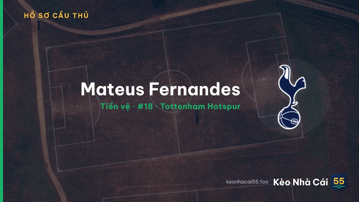 Mateus Fernandes — Tottenham Hotspur