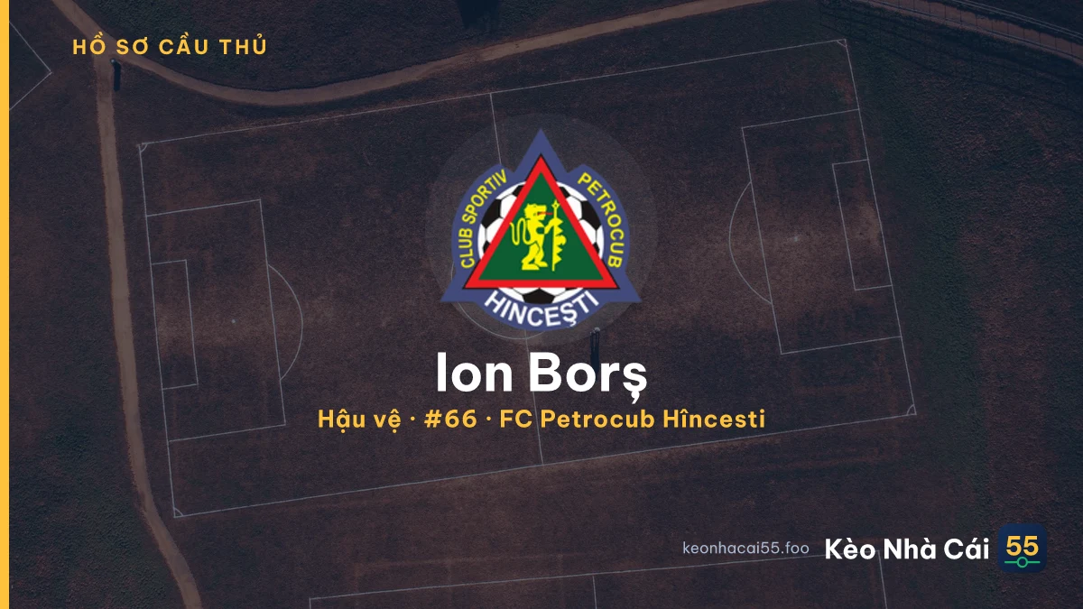 Ion Borș — FC Petrocub Hîncesti