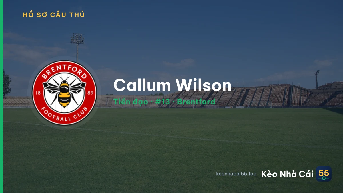 Callum Wilson — Brentford