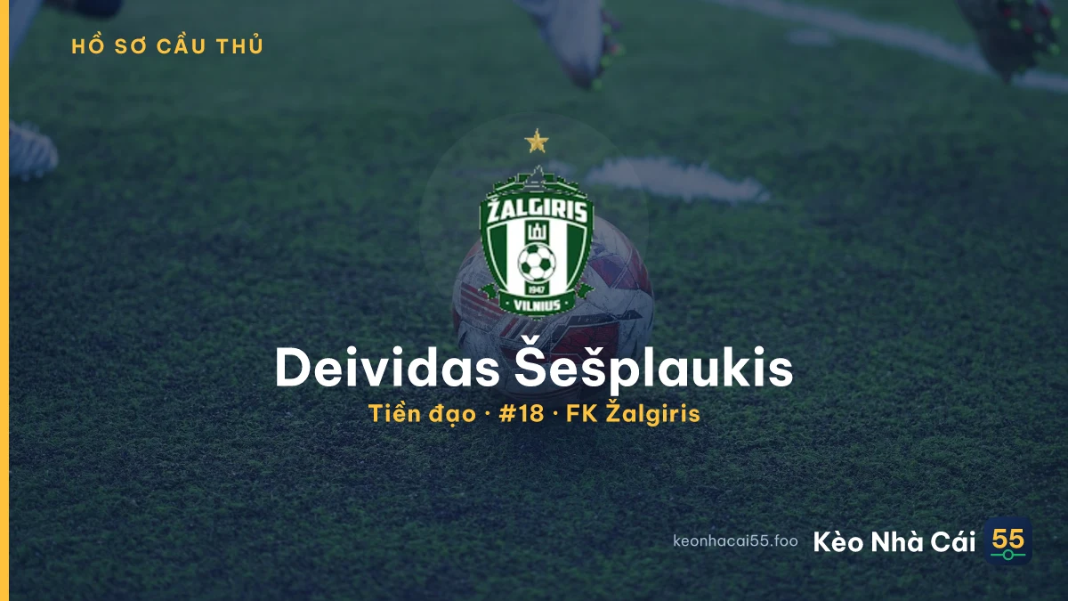 Deividas Šešplaukis — FK Žalgiris