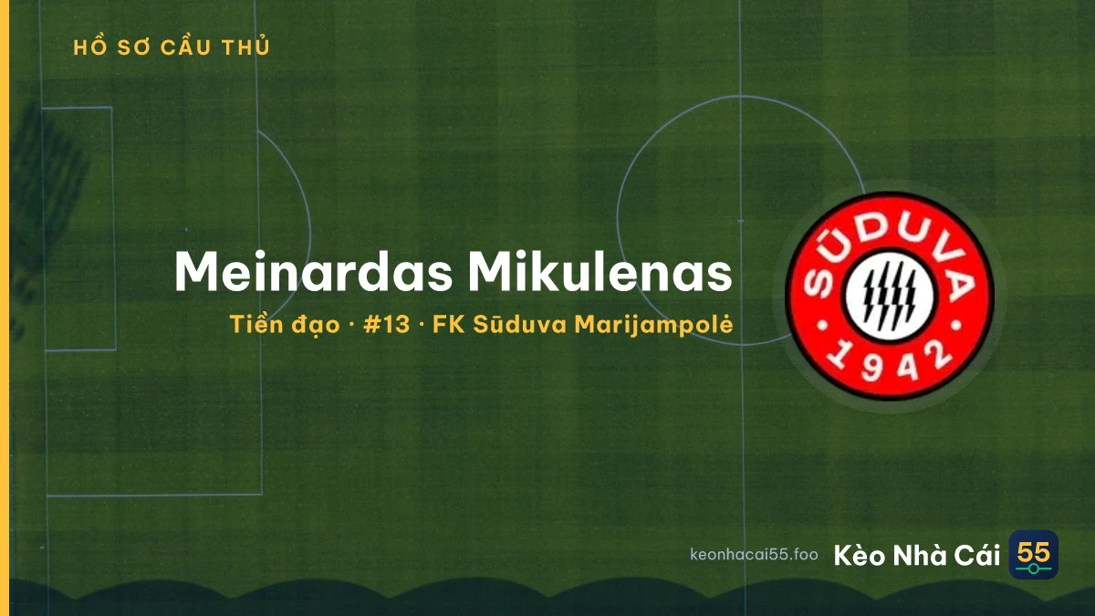 Meinardas Mikulenas — FK Sūduva Marijampolė