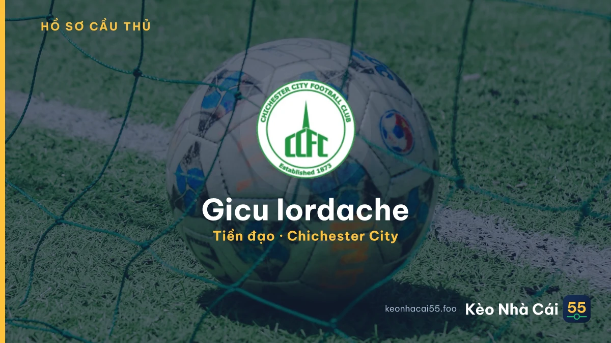 Gicu Iordache — Chichester City