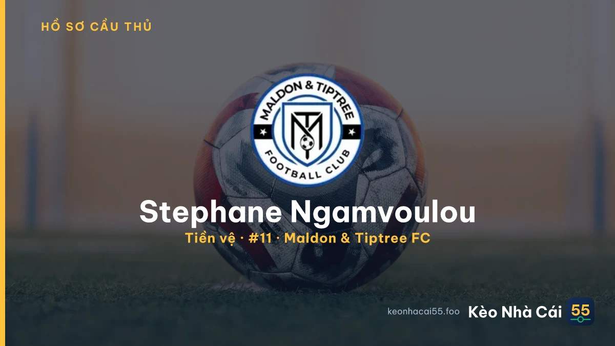 Stephane Ngamvoulou — Maldon & Tiptree FC