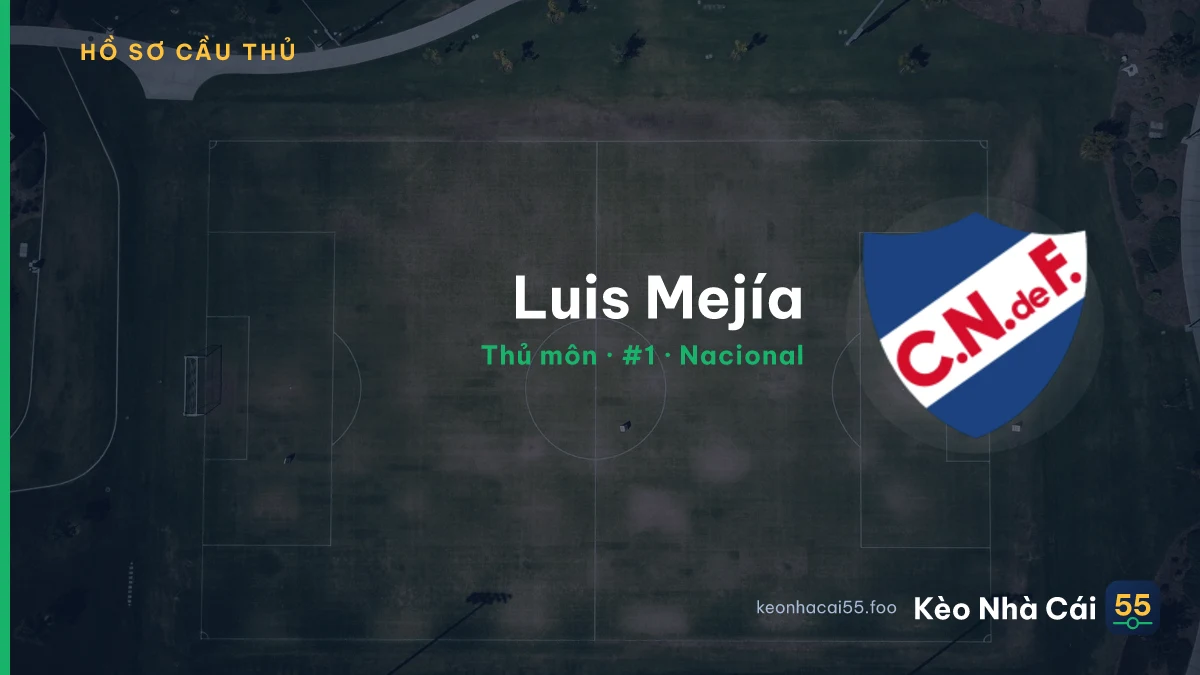 Luis Mejía — Nacional