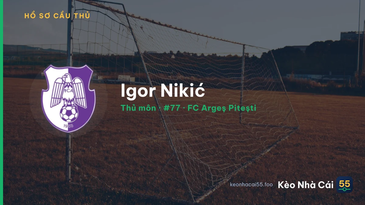 Igor Nikić — FC Argeș Pitești