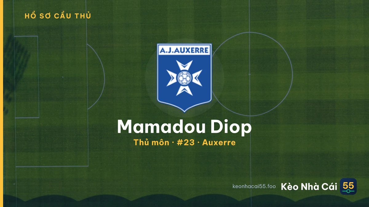Mamadou Diop — Auxerre