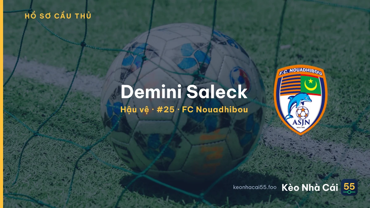 Demini Saleck — FC Nouadhibou