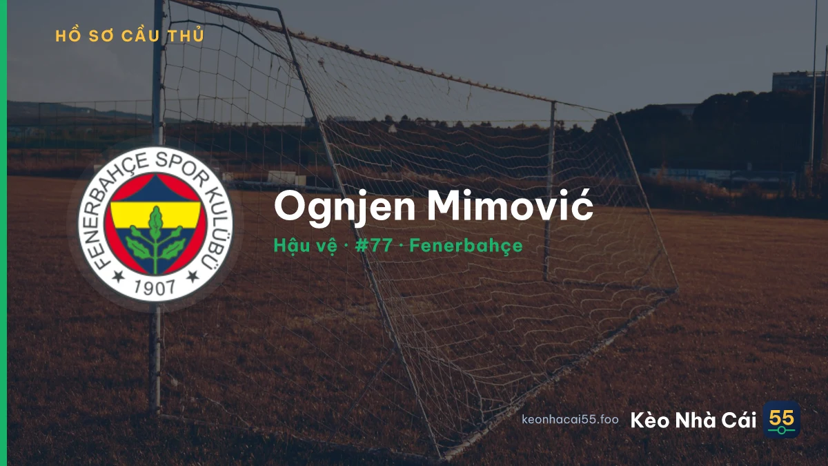 Ognjen Mimović — Fenerbahçe