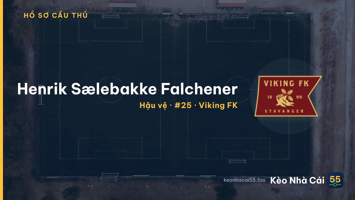Henrik Sælebakke Falchener — Viking FK