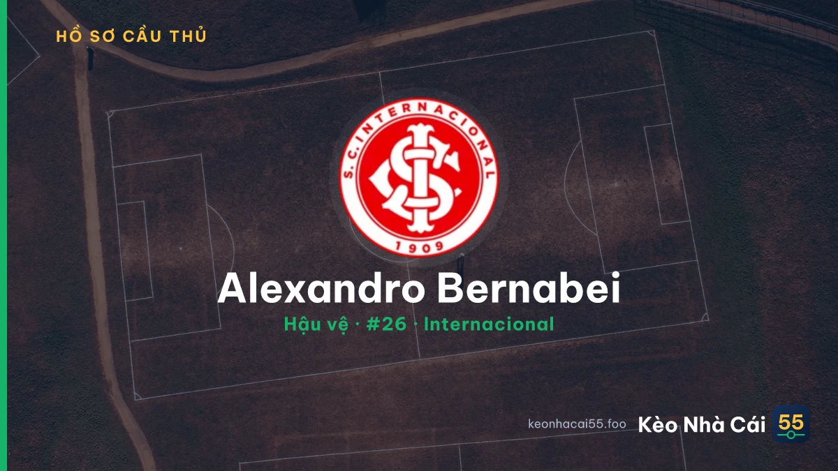 Alexandro Bernabei — Internacional