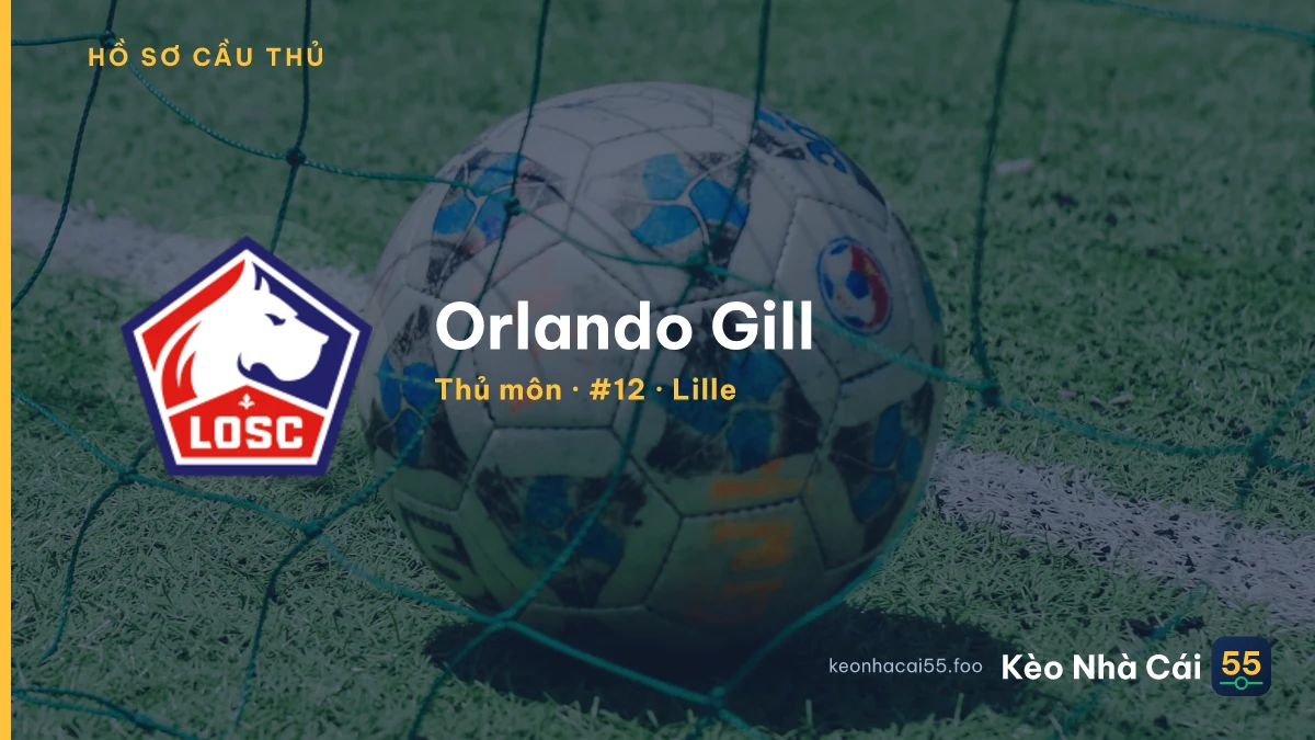 Orlando Gill — Lille