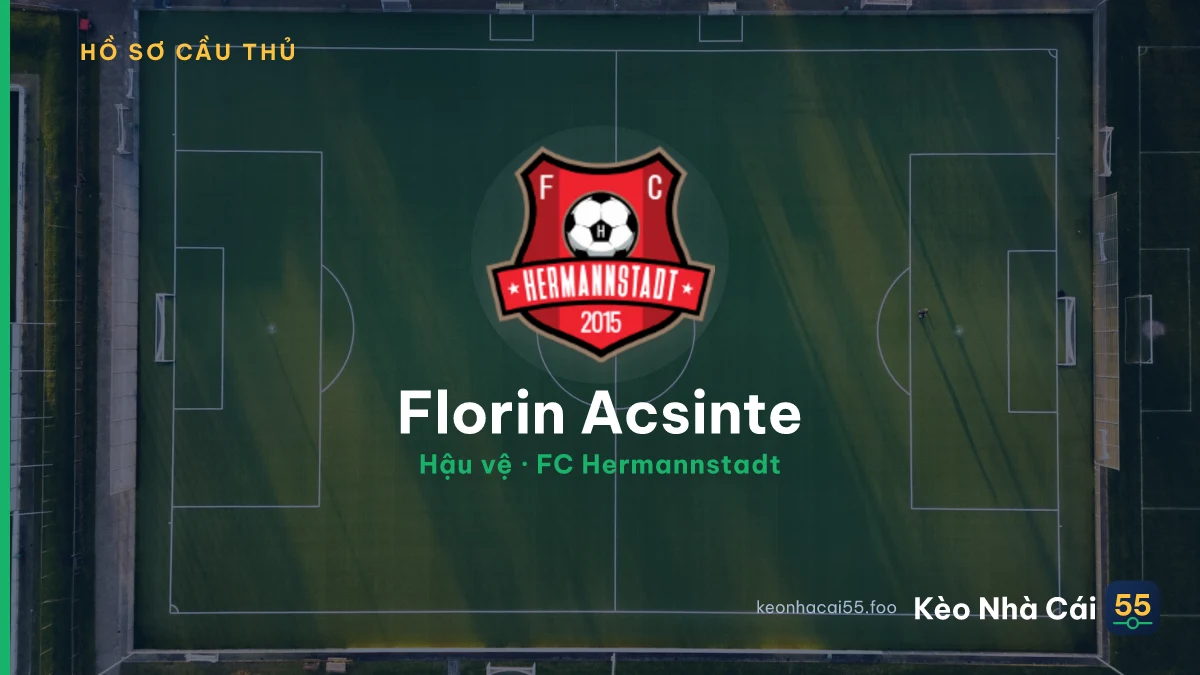 Florin Acsinte — FC Hermannstadt