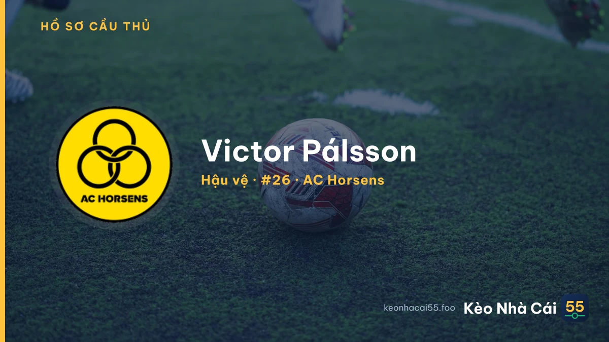 Victor Pálsson — AC Horsens