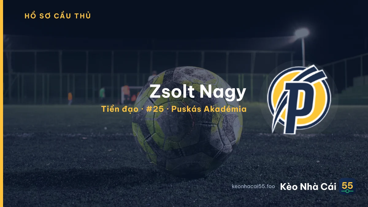 Zsolt Nagy — Puskás Akadémia