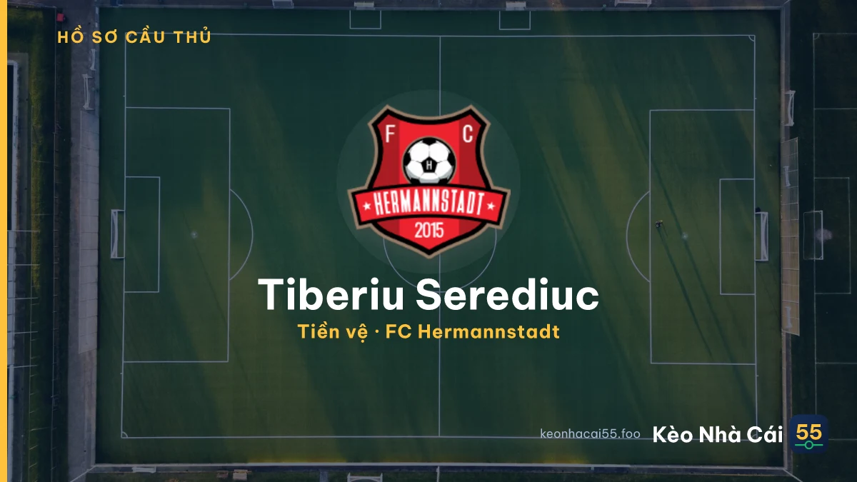 Tiberiu Serediuc — FC Hermannstadt