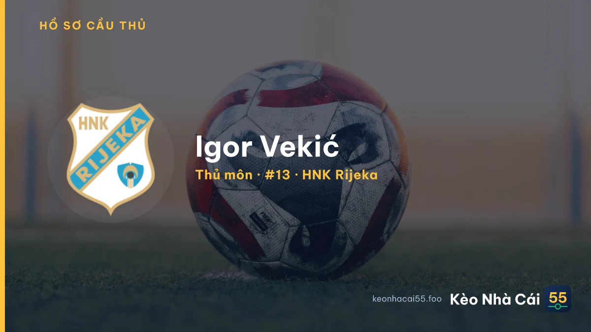 Igor Vekić — HNK Rijeka