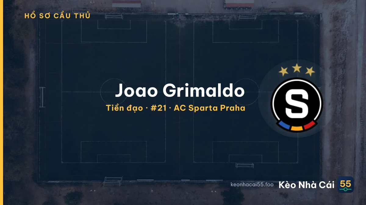 Joao Grimaldo — AC Sparta Praha