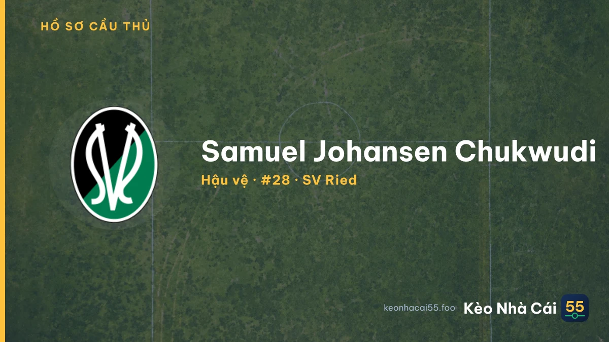 Samuel Johansen Chukwudi — SV Ried