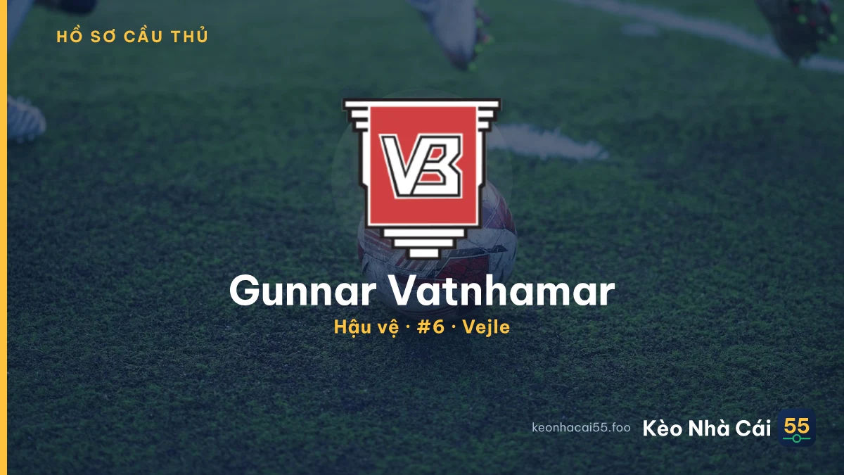 Gunnar Vatnhamar — Vejle