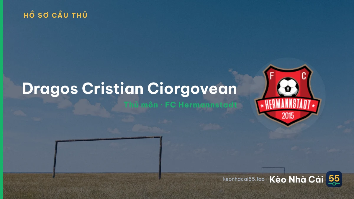 Dragos Cristian Ciorgovean — FC Hermannstadt