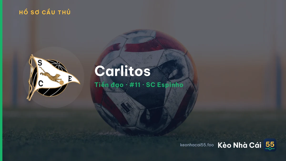 Carlitos — SC Espinho