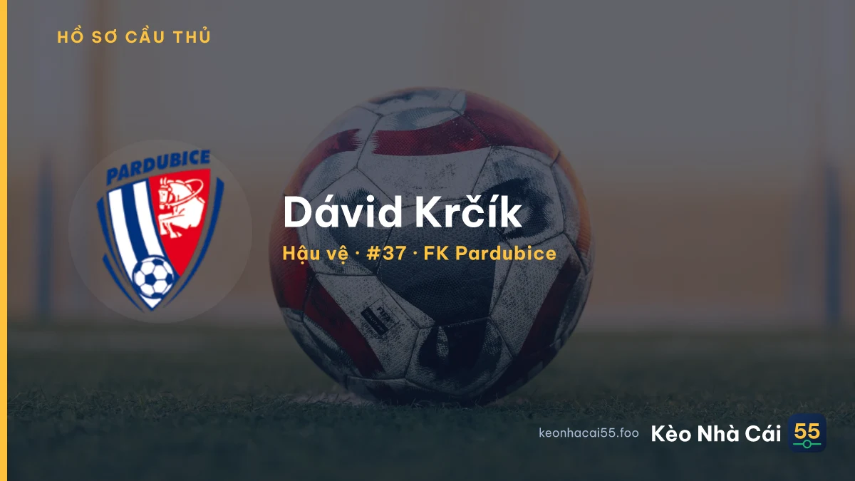 Dávid Krčík — FK Pardubice
